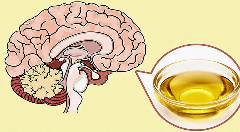 Does Cooking Oil Kill the Brain?