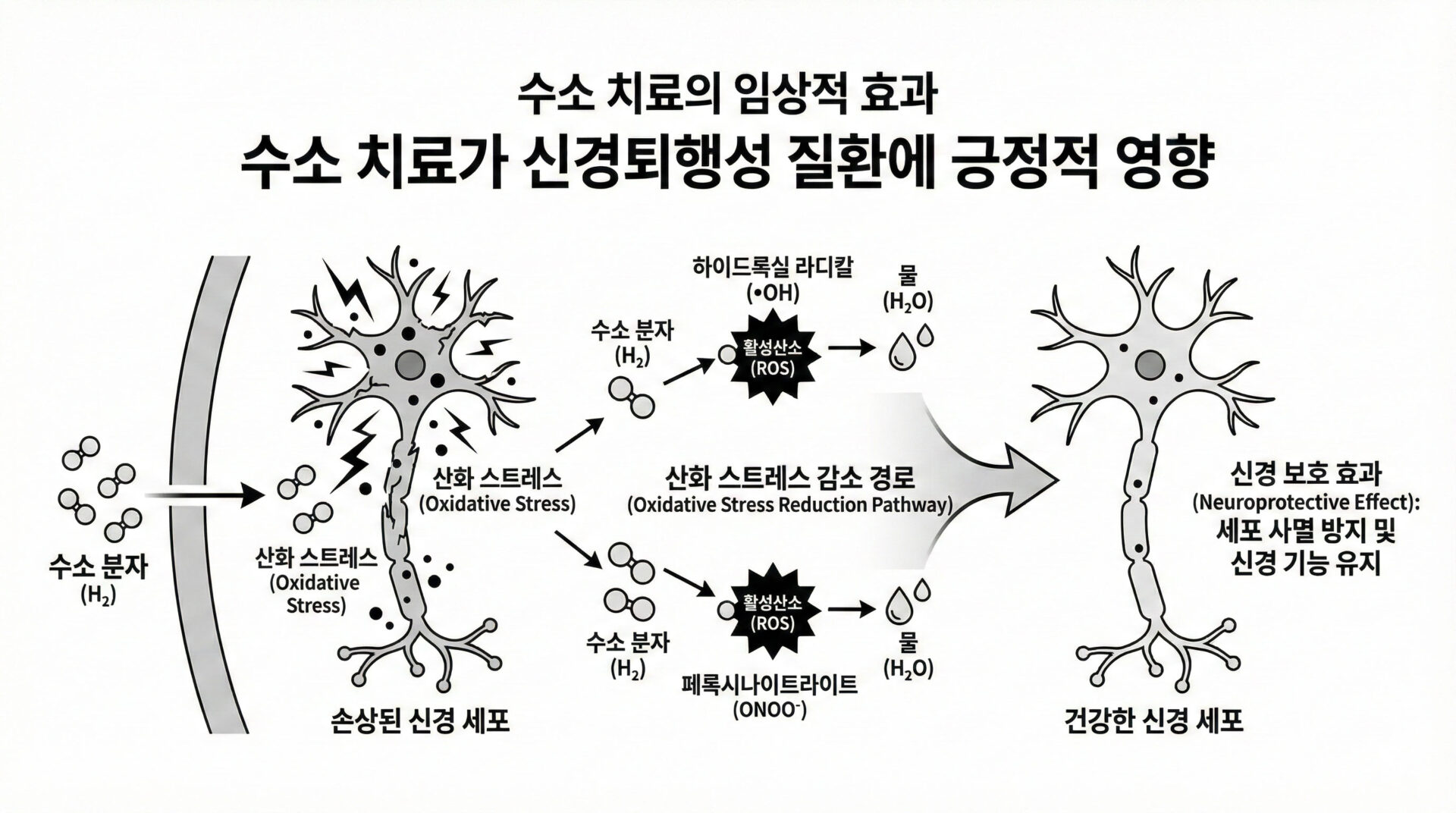 Molecular Hydrogen as an Emerging Therapeutic Medical Gas for Neurodegenerative and Other Diseases