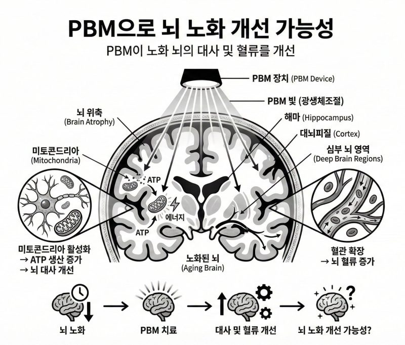 Photobiomodulation_for_the_aging_brain