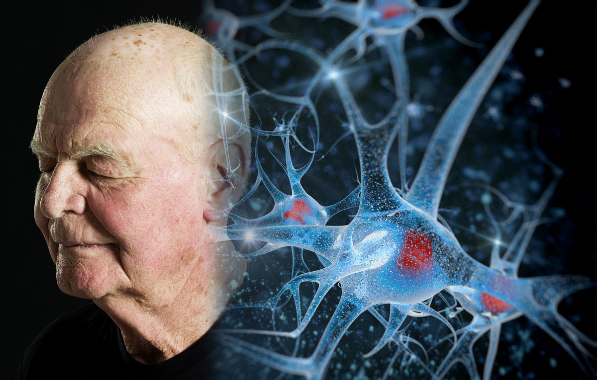 Cooking Oil and Neurodegenerative Diseases