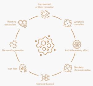 Circular infographic showing benefits like improved circulation, metabolism boost, pain relief, hormonal balance, and anti-inflammation.