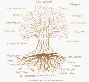 Tree diagram showing root causes like stress, poor diet, and toxins leading to chronic conditions like heart disease, diabetes, and cancer.
