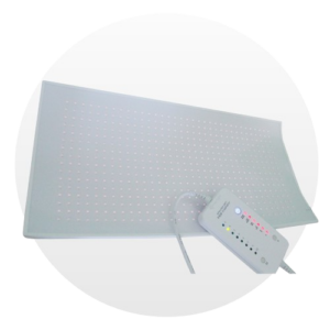 abdomen pbm irradiator
