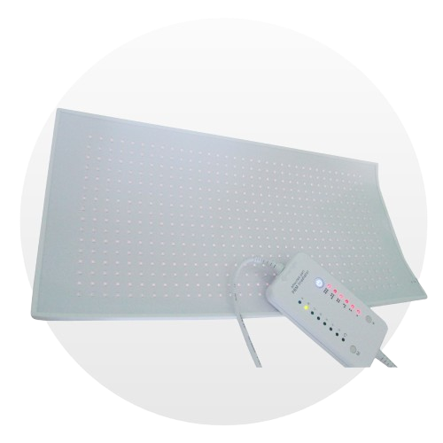 abdomen pbm irradiator