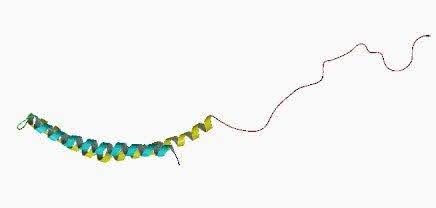 Molecular structure of α-synuclein