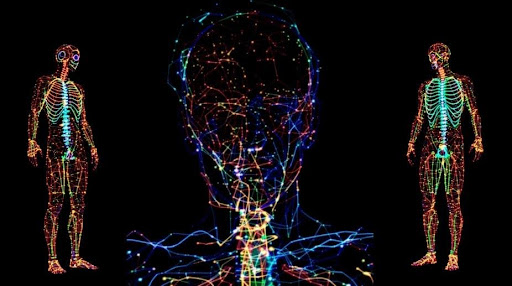gut-brain axis hypothesis