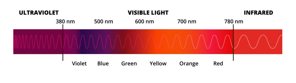 Understanding Red and Near-Infrared Light