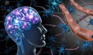 Could-Gut-Microbiota-Be-the-Key-to-Treating-Parkinsons-Disease