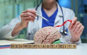 Neuroplasticity