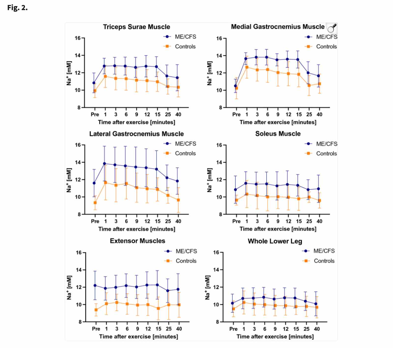 Muscle performance graphs comparing ME/CFS patients and controls