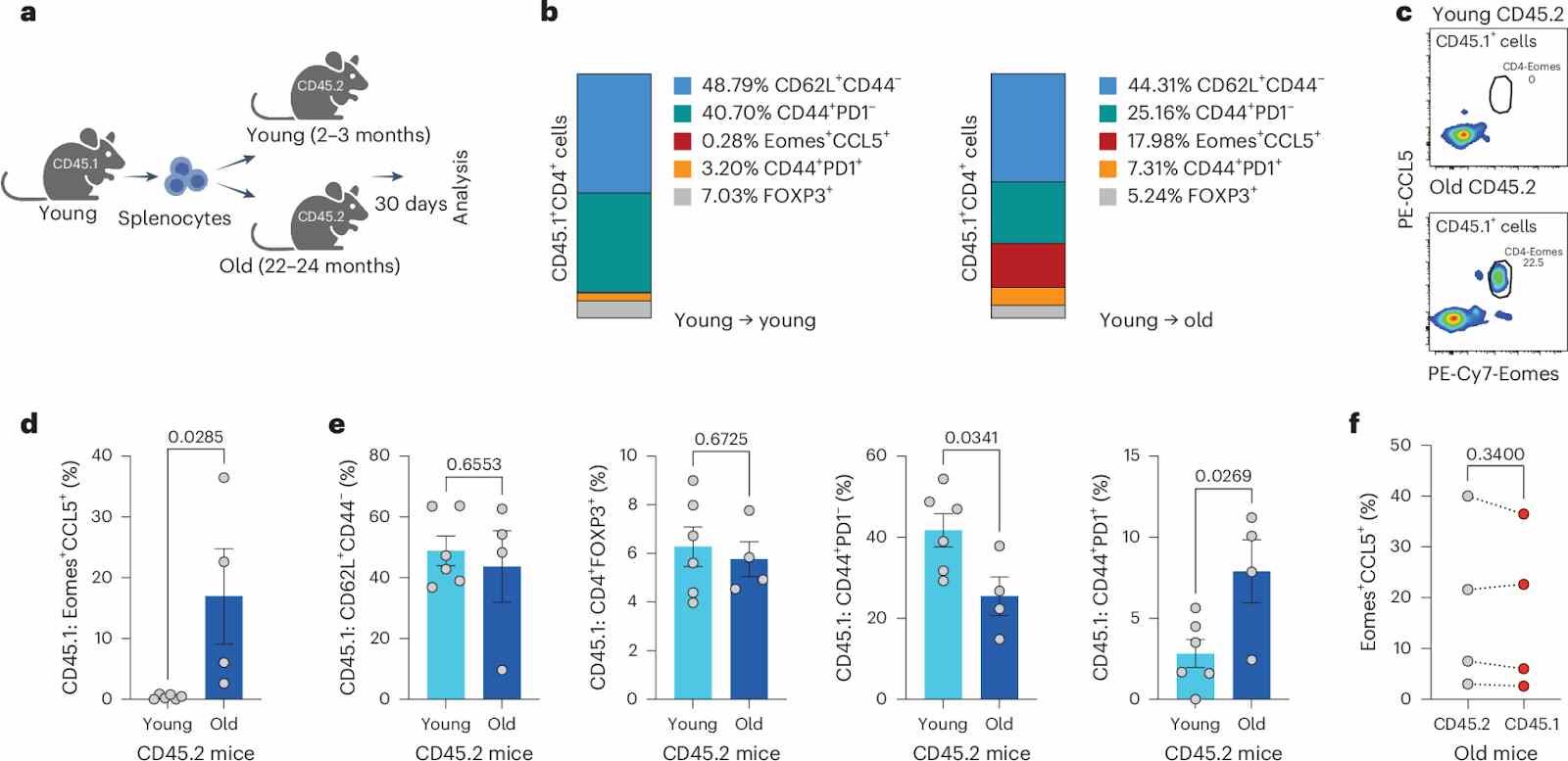 Explaining senescent zombie cells and aging-related immune changes
