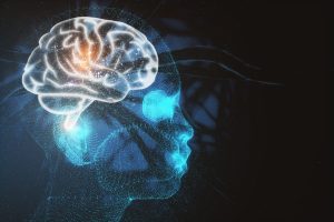 Is Your Brain’s "Drain" Clogged?