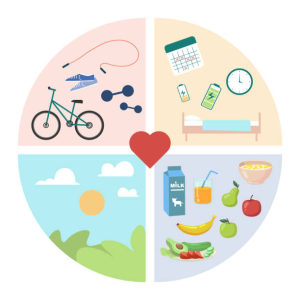 90-Day Whole-Body Health Plan: Why Chronic Symptoms Keep Returning