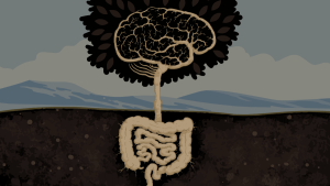 Could Constipation Be an Early Parkinson's Sign? What May Happen Before the Tremor